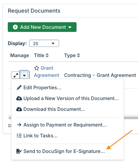 Send to DocuSign for E-Signature option