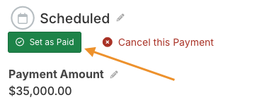 Set as Paid button