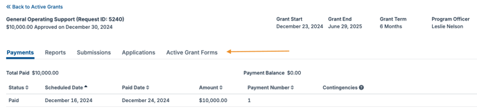 Active grant details tabs