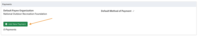 Add New Payment button