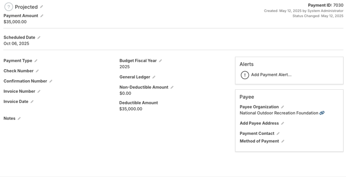 Payments Overview tab